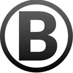 BlockMason Credit Protocol